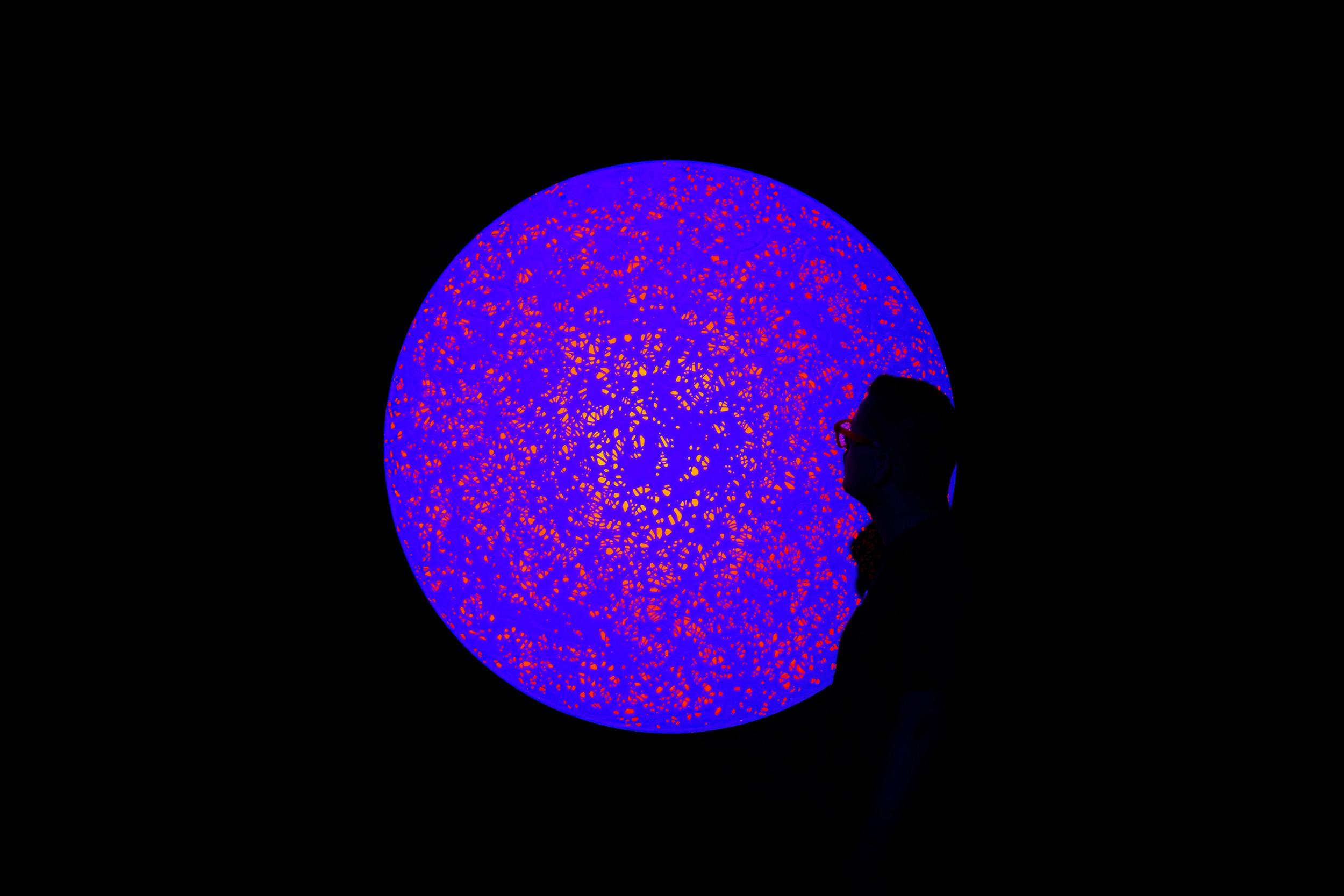 Cristopher Cichocki: Nucleus